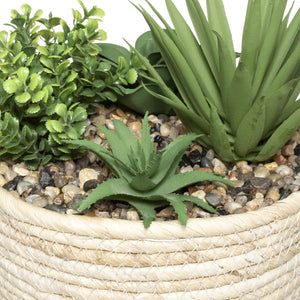 Изкуствено растение atmosphera Hacienda, 19 cm