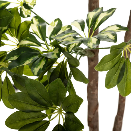 Изкуствено растение atmosphera Schefflera, 130 cm