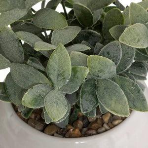 Изкуствено растение atmosphera, 19 cm, Различни видове
