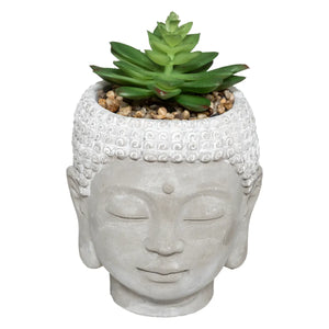Изкуствено растение atmosphera Buddha, 13.5 cm, Различни видове