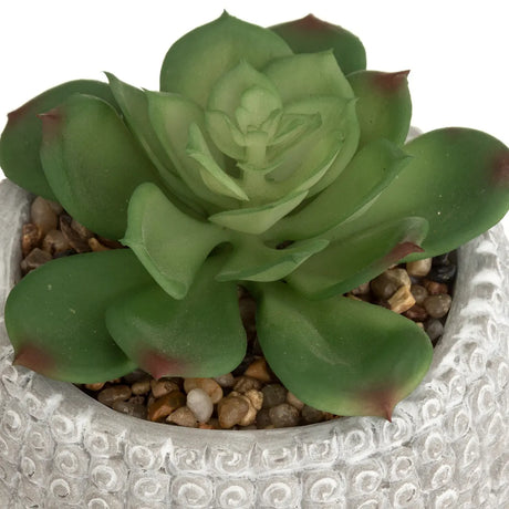Изкуствено растение atmosphera Buddha, 13.5 cm, Различни видове