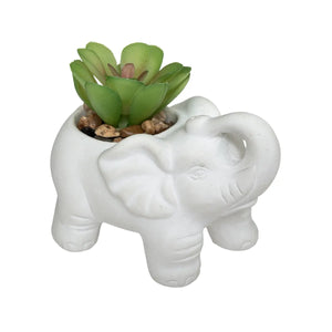 Изкуствено растение atmosphera Elephant, 10 cm, Различни видове