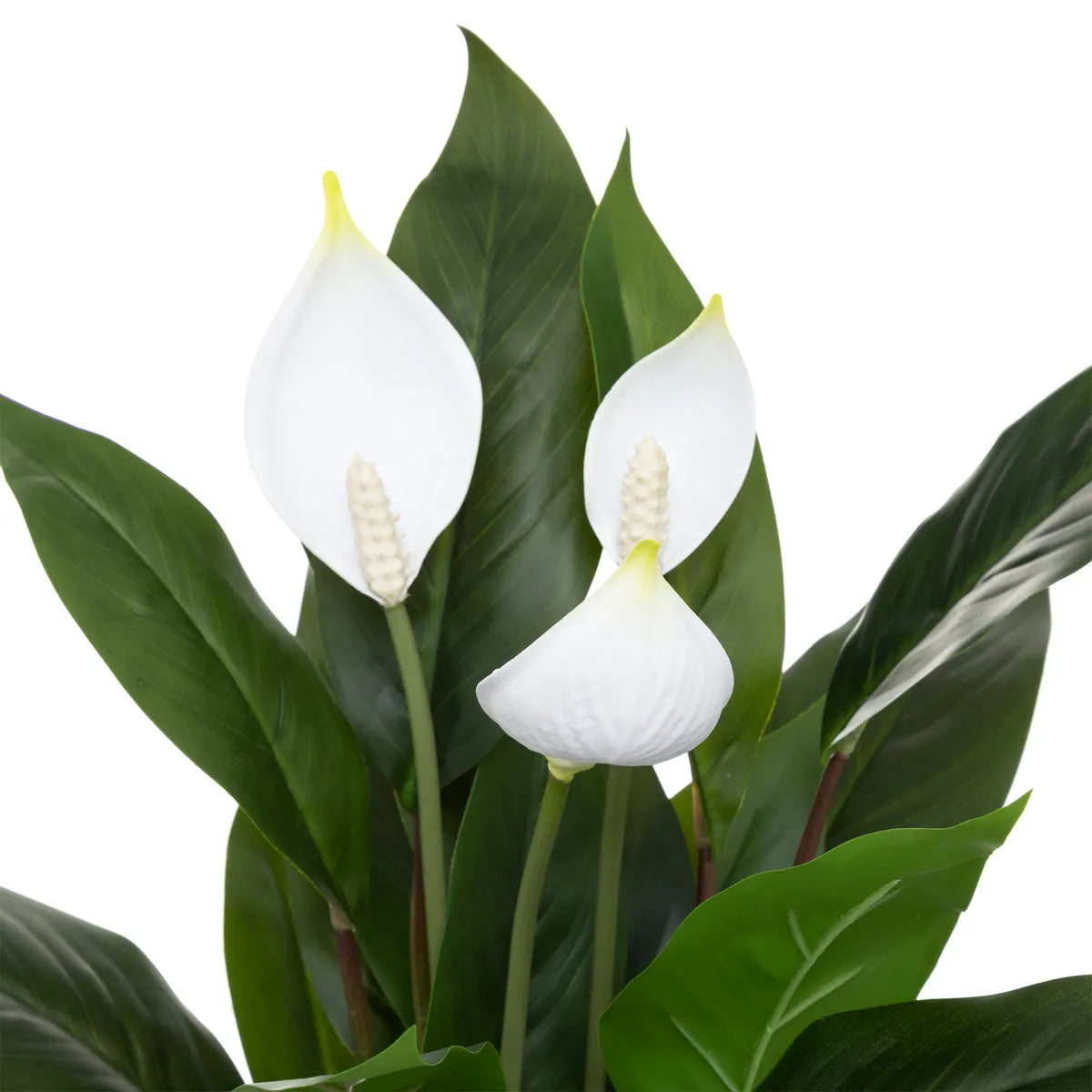 Изкуствено растение atmosphera Peace Lily, 54 cm