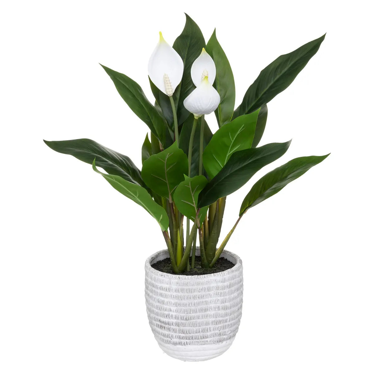 Изкуствено растение atmosphera Peace Lily, 54 cm