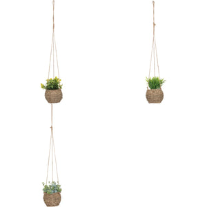 Изкуствено растение atmosphera Zoе, 17 cm, Различни видове