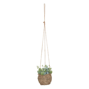 Изкуствено растение atmosphera Zoе, 17 cm, Различни видове