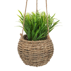 Изкуствено растение atmosphera Zoе, 17 cm, Различни видове
