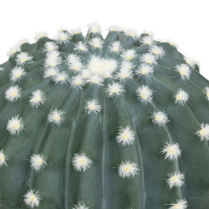Изкуствено растение atmosphera Exotic Panama Cactus, 25 cm