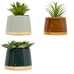 Изкуствено растение atmosphera Be Vintage, 12 cm, Различни видове