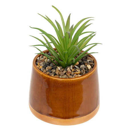Изкуствено растение atmosphera Be Vintage, 12 cm, Различни видове