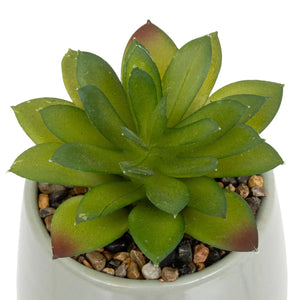 Изкуствено растение atmosphera Be Vintage, 12 cm, Различни видове