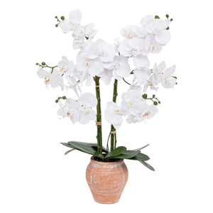 Изкуствено растение atmosphera Dena Orchid, 65 cm