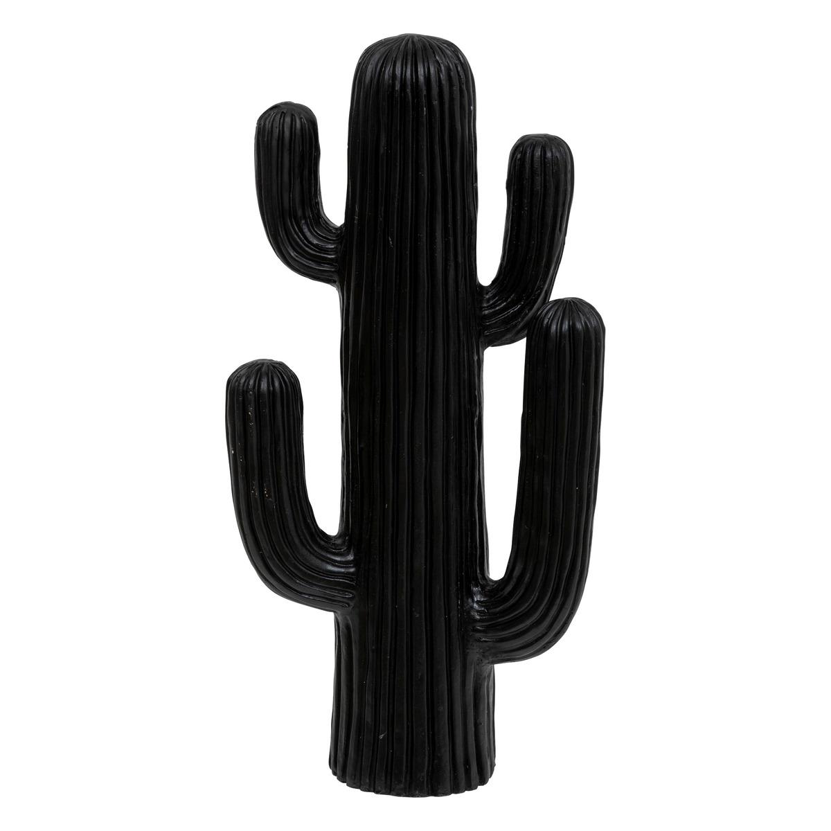 Декоративен кактус atmosphera Rodrigo, 57 cm, Черен