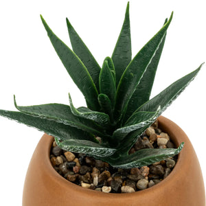 Изкуствено растение atmosphera Livy, 17 cm, Различни видове