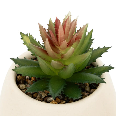 Изкуствено растение atmosphera Livy, 17 cm, Различни видове