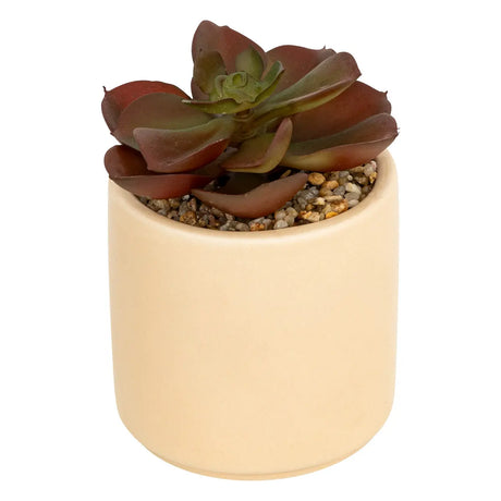 Изкуствено растение atmosphera Nils, 12 cm, Различни видове