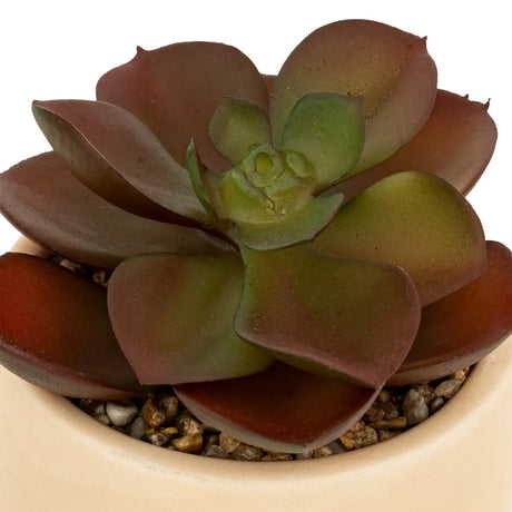 Изкуствено растение atmosphera Nils, 12 cm, Различни видове