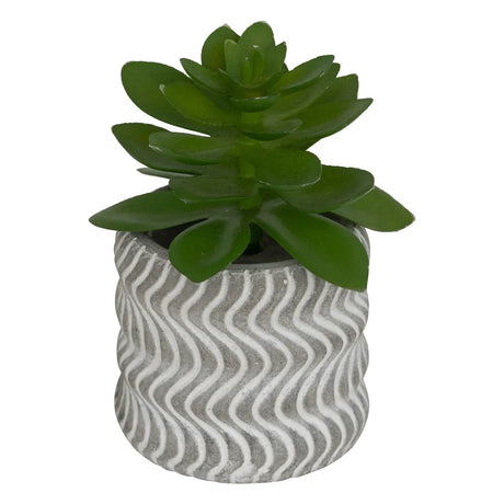 Изкуствено растение atmosphera Ubi Succulent, 7 cm, Различни видове