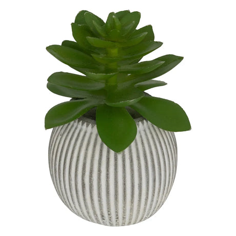 Изкуствено растение atmosphera Ubi Succulent, 7 cm, Различни видове
