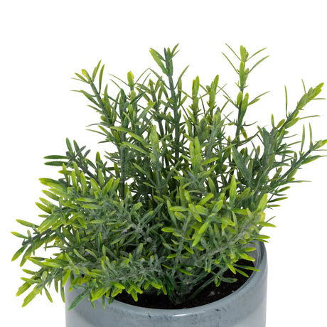 Изкуствено растение atmosphera Tayli Succulent, 18 cm, Различни видове