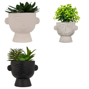 Изкуствено растение atmosphera Dusty Succulent, 22 cm, Различни видове