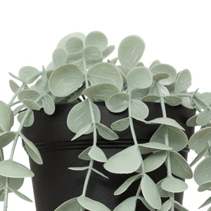 Изкуствено растение atmosphera Merly Eucalyptus, 51 cm, Различни видове