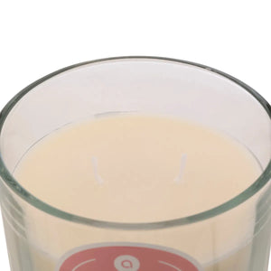 Ароматна свещ atmosphera Floa, Стъкло, 350 g
