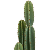 Изкуствено растение atmosphera Sien Cactus, 132 cm