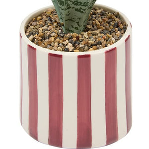 Изкуствено растение atmosphera Sansevieria Chéri, 38 cm