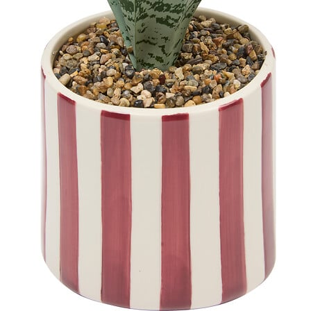 Изкуствено растение atmosphera Sansevieria Chéri, 38 cm